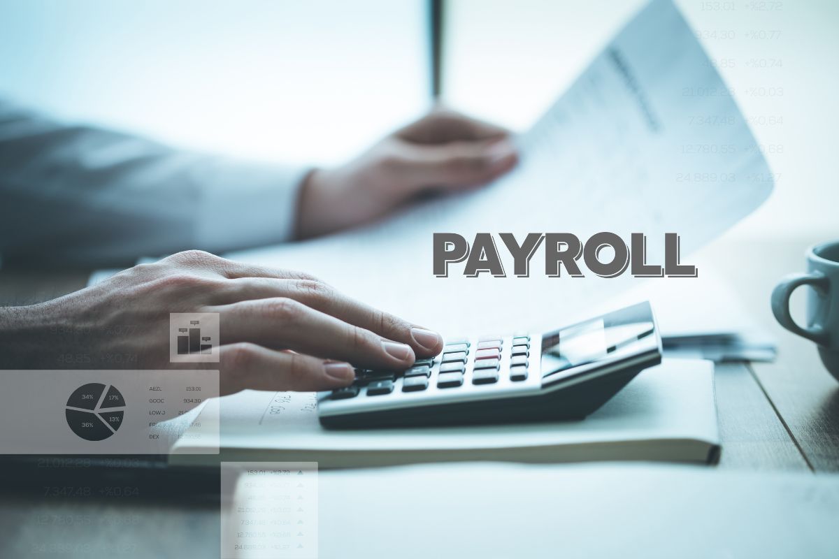 Payroll management software