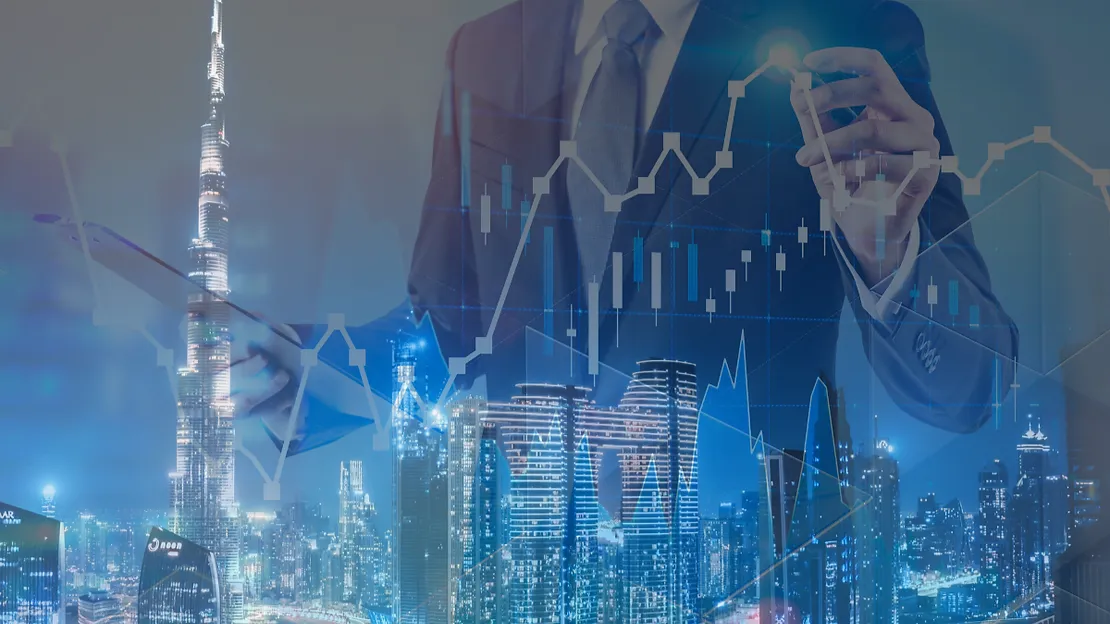 Real Estate Financial Management Systems Dubai